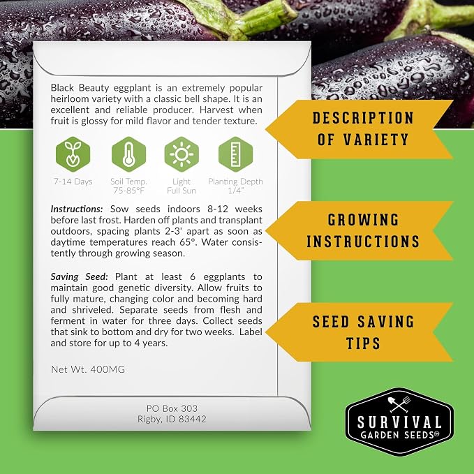 Summer Vegetable Garden Seeds - 10 Heirloom Non-GMO Variety Pack for Planting - Warm Weather Gardening Collection for Fresh Vegetables - Survival Garden Seeds