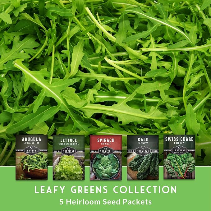 Leafy Greens Seeds Variety Pack – 5 Heirlooms: Viroflay Spinach, Arugula, Lacinato Kale, Salad Bowl Lettuce & Rainbow Swiss Chard – Cool Season Garden Collection - Survival Garden Seeds