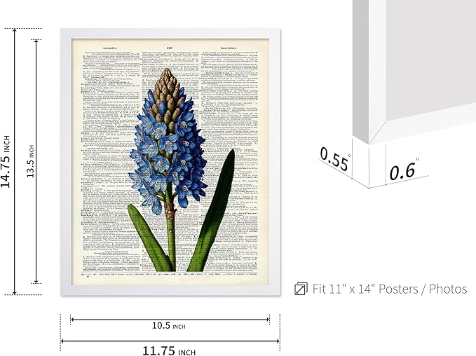 Poster Master Dictionary Art Poster - Blue Hyacinth Print - Flower Art - Floral Art - Gift for Men, Women & Florist - Minimal Decor for Bedroom, Office, Dorm or Flower Shop, 11x14 White Framed