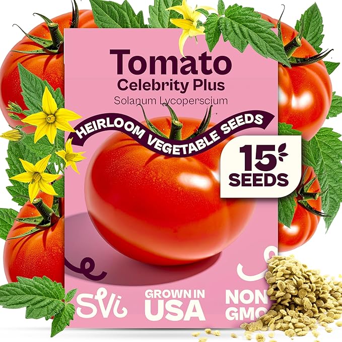 SVI 15 Plus F1 Celebrity Tomato Seeds (Solanum lycopersicum) – Heirloom Tomatoes Seed Packets, Slicing Tomatoes, Tomato Seed – Vegetable Seeds for Outdoor Home Garden Raised Beds, Containers