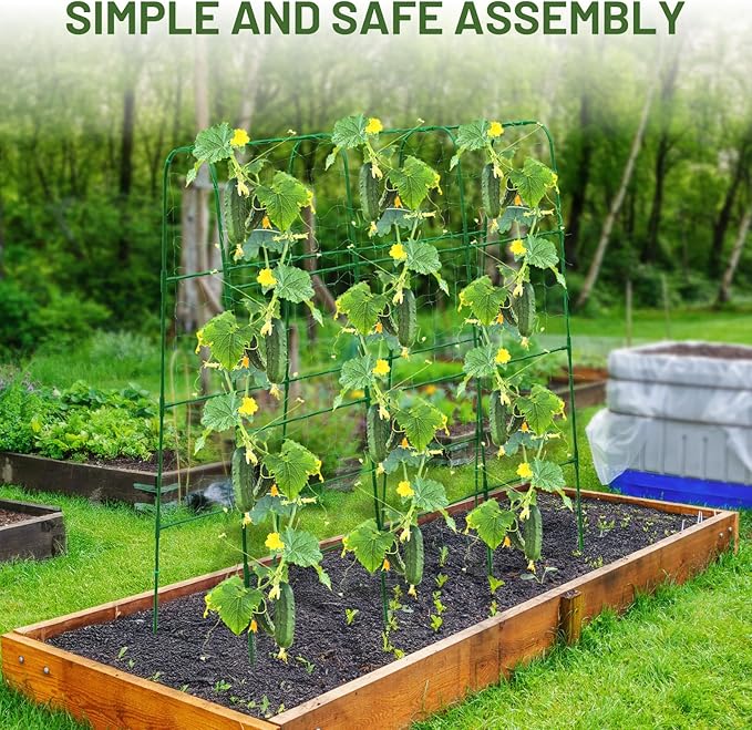 Compact U-Shaped Plant Trellis for Peas, Beans & Light Climbing Plants - Rust-Resistant, Foldable Design, Lightweight Steel, Ideal for Raised Beds & Patio Gardens(31" W x 47" H)