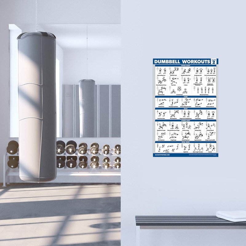 Palace Learning 4 Pack - Cable Machine Workout Posters Volume 1 & 2 + Dumbbell Exercises Chart Volume 1 & 2 (LAMINATED, 18" x 24")