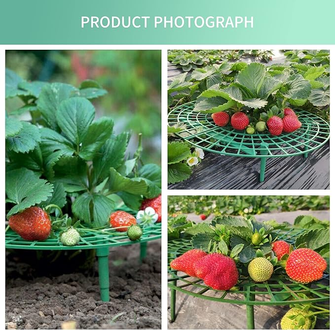 SooGree 10 Pack Strawberry Supports, Garden Fruit Plant Cage Strawberry Holder Cradles Plastic Tray Keep Strawberries Off Rot and Dirt