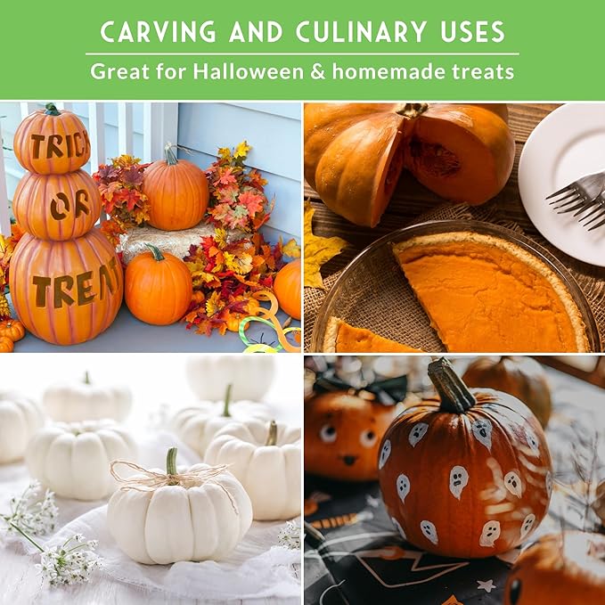 Pumpkin Seeds 4 Variety Pack for Planting – Small Sugar, Jack O’ Lantern, Fairytale & Casper Heirloom Non-GMO Pumpkin Seed Collection | Survival Garden Seeds
