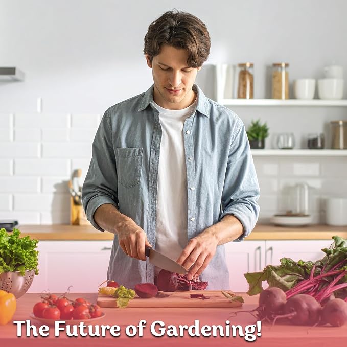 KVITER 600 Detroit Dark Red Beet Seeds (Beta vulgaris) - Known As Beet Root, Tender & Sweet 2-3" Red Beets - Non Gmo & Heirloom Vegetable Seeds For Planting Outdoors in Garden, Raised Beds, Containers