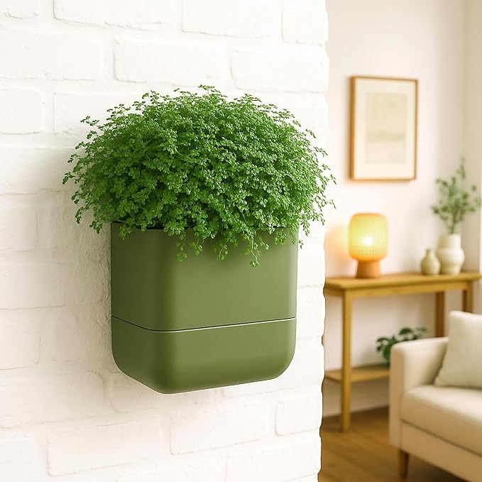 Phoenix Vine 6.5 Inch Wall Mounted Self-Watering Planter Pot
