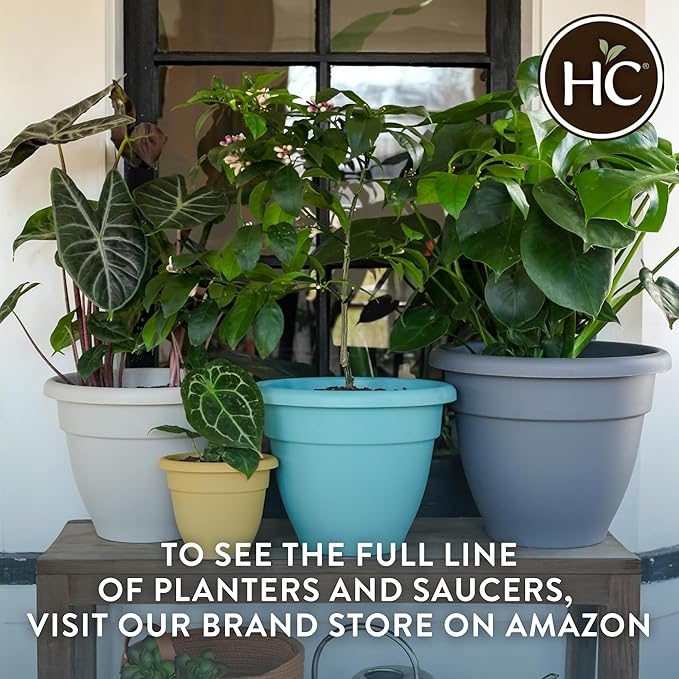 The HC Companies 6 Inch Caribbean Planter Pots with Drainage & Plug, Rolled Rim Plastic Planters for Indoor & Outdoor Plants, 4-Pack Decorative Flower Pots for Garden, Office & Home Decor, Clay