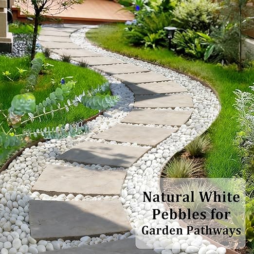 45LB White River Rocks, High Polished Pebbles, 1–2 inch Decorative Rocks for Garden Landscaping, Lava Rocks for Plants, Aquarium & Fish Tank Rocks, Outdoor Decorative Stones & Pathway Design