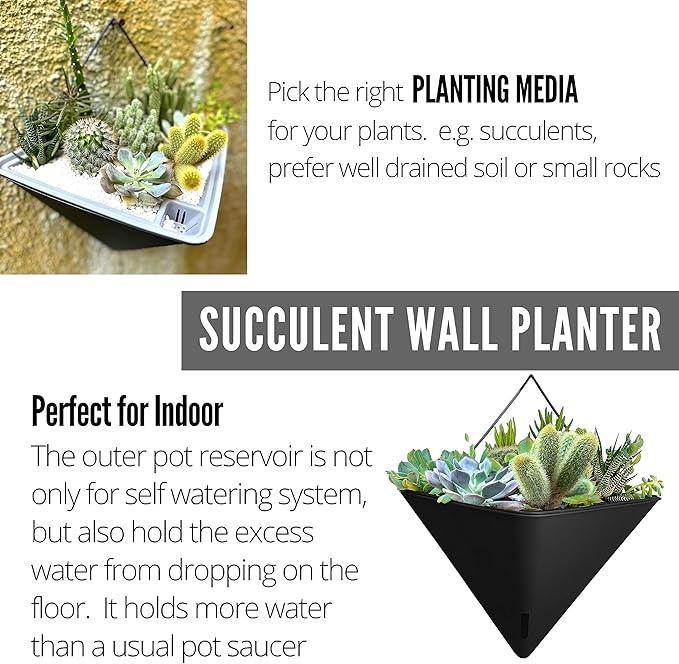 LaLaGreen Wall Planters for Indoor Plants