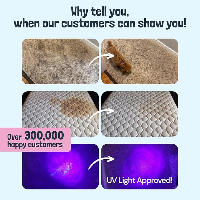 Sunny & Honey Carpet Cleaner Solution - Deep Stain Remover & Odor Deodorizer - Pet Carpet Cleaner & Rug Shampoo (32 Fl Oz, Light Lavender)