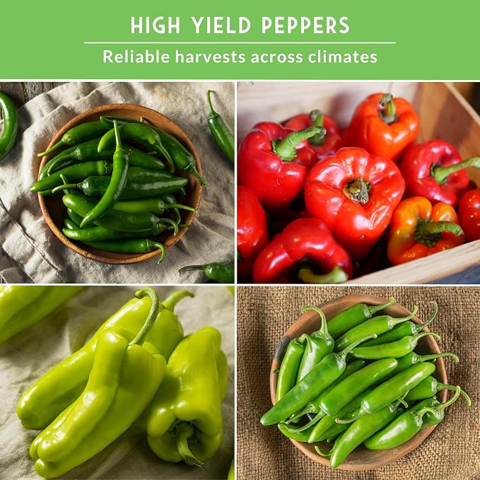 4 Variety Pack Pepper Seed Collection | Jalapeño, Serrano, Cubanelle & California Wonder | Heirloom Non-GMO Hot & Sweet Peppers | Survival Garden Seeds