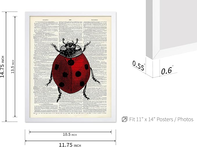 Poster Master Dictionary Art Poster - Retro Ladybug Print - Insect Art - Red Bug Art - Gift for Men, Women & Animal Lover - Minimal Decor for Living Room & Kid's Room, 11x14 White Framed