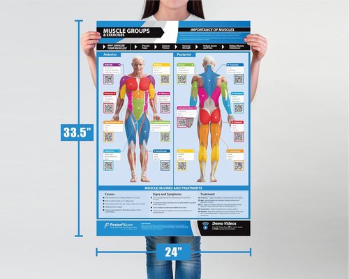 EXTRA LARGE Training Zones & Thresholds Poster - Laminated Home & Gym Chart with Video Support