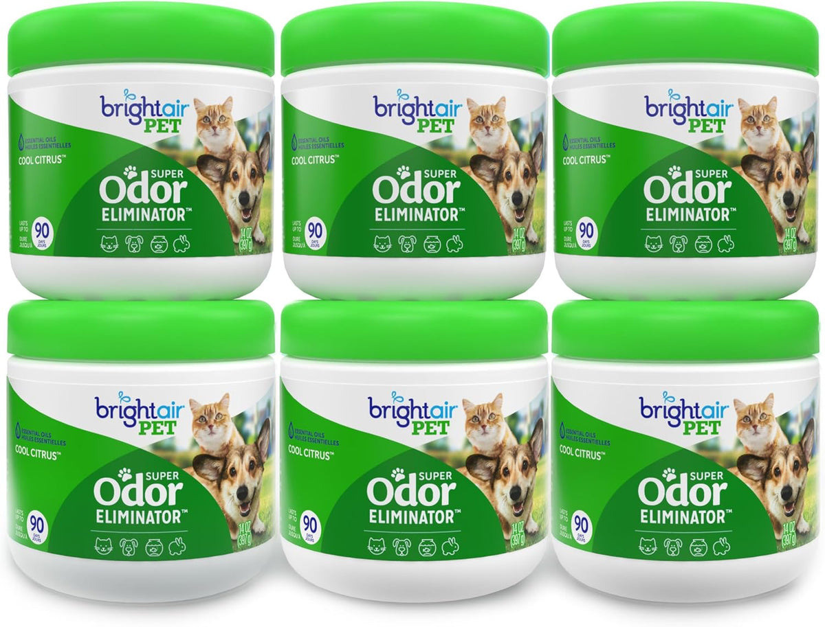 Bright Air 14 oz. Super Odor Eliminator, for Medium-Size Spaces, Cool Citrus Scent, Case of 6, Air Freshener, Natural Essential Oils, Lasts Up to 90 Days Each