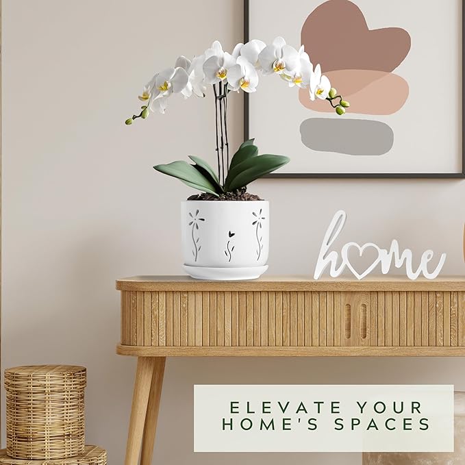 2 Pack, 5 + 6 Inch White Orchid Pots with Holes and Saucer, Ceramic Orchid Planters for Repotting with Drainage Holes and Tray, Plant Flower Pot containers for Orchid Indoor Outdoor