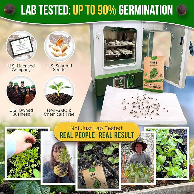 Organo Republic Kale Dwarf Siberian Seeds Pack 5 G - Over 1,650 Non-GMO Heirloom Kale Seeds for Planting Greens in Individual Seed Packet, Greens Seeds for Planting Home Garden Indoor & Outdoor