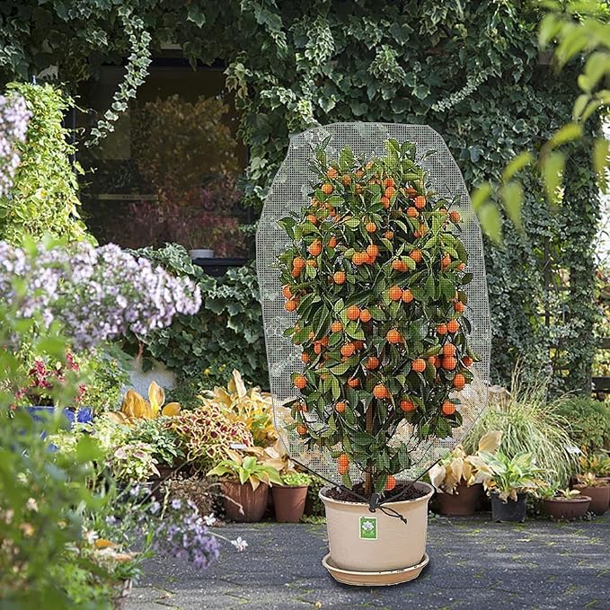 Alpurple 2Pcs 4.6 x 3.9 Ft Garden Plant Netting Mesh Barrier Bags- Fruit Tree Net with Drawstring- Tomato Plant Protective Netting Cover for Protect Plant Fruits Citrus Flower from Insect Bird Eating