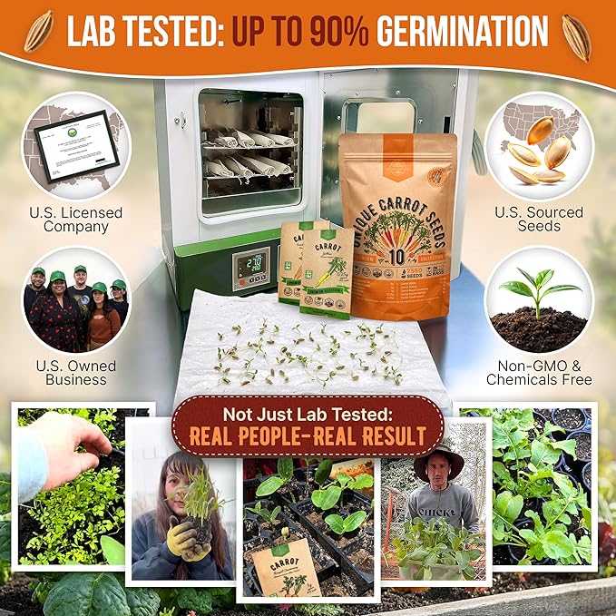 Organo Republic 10 Unique Carrot Seeds Variety Pack - 7,550+ Non-GMO Heirloom Carrot Seeds for Outdoor & Indoor Home Gardening, Including Carrot Imperator 58, Little Fingers, Scarlet Nantes, Parisian