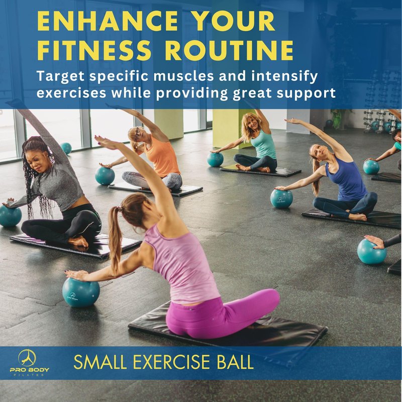 ProBody Pilates Small Exercise Ball - 9 Inch Workout Ball for Stability, Barre, Yoga, Core & Physical Therapy (Aqua)