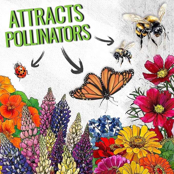 Seed Needs Butterfly Garden Bulk Seed Variety Collection 4 Large Bulk Packs