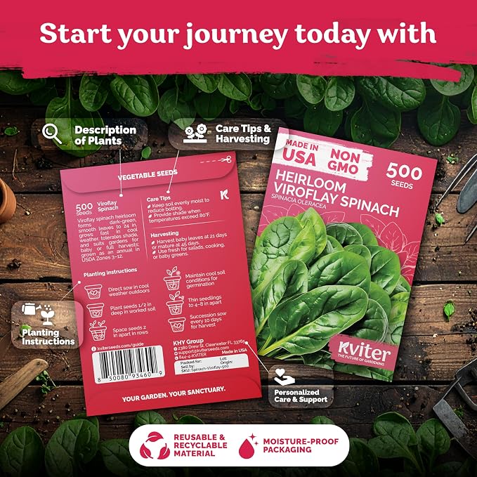 KVITER 500 Viroflay Spinach Seeds (Spinacia Oleracea) - Cold Tolerant Spinach, Fast Growing Heirloom Seed, Non GMO Seed Packets - Vegetable Seeds for Outdoors, Home Garden, Raised Beds