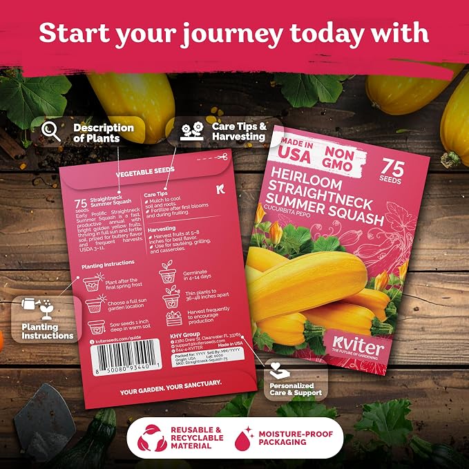 KVITER 75 Straight Neck Squash Seeds (Cucurbita Pepo) - Yellow Summer Squash, Non GMO Heirloom Seed Packets, High Yield, Mild Flavor - Vegetable Seeds for Containers and Outdoor Garden