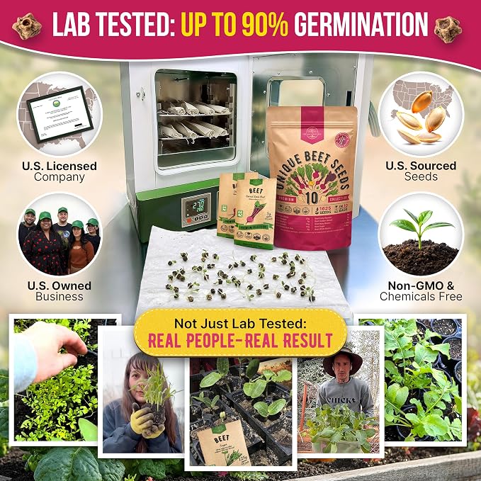 Organo Republic 10 Rare Beet Seeds Variety Pack for Planting Indoor & Outdoors 1625+ Heirloom Non-GMO Bulk Beets Gardening Seeds: Chioggia, Detroit Dark Red, Sugar, Cylindra, Bulls Blood, White Albino