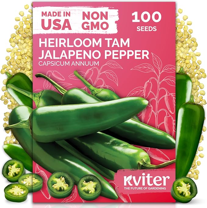 KVITER 100 Tam Jalapeno Pepper Seeds for Planting (Capsicum Annuum) – Mild Spice, Perfect Stuffer Peppers Heirloom Seed, 1000-1500 SHU Hot Jalapeno – Vegetable Seeds for Outdoor & Indoor Garden