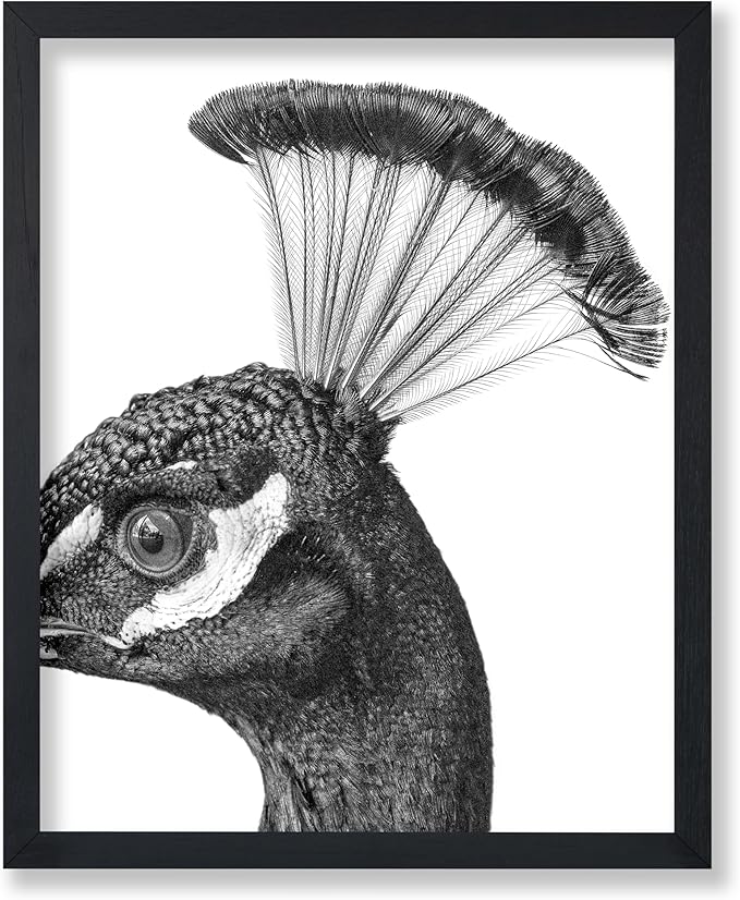 Poster Master Vintage Peacock Poster