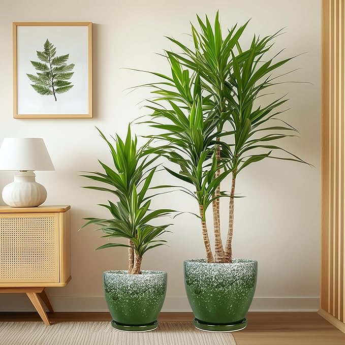 Ceramic Planters 3 Pack - 10 Inch 8 Inch 6 Inch Plant Pots for Indoor Outdoor, Round Decorative Flower Pots with Drainage Holes and Saucers, Garden Home Decor, Gift for Women Men, Green