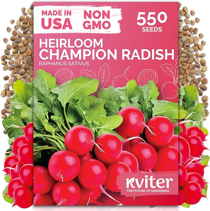 KVITER 550 Champion Radish Seeds (Raphanus Sativus) - Red Radish, Crisp Firm Roots, Non-GMO, Fast Growing, Heirloom Seed Packets- Ideal Vegetable Seeds for Home Garden, Containers, Outdoor Beds
