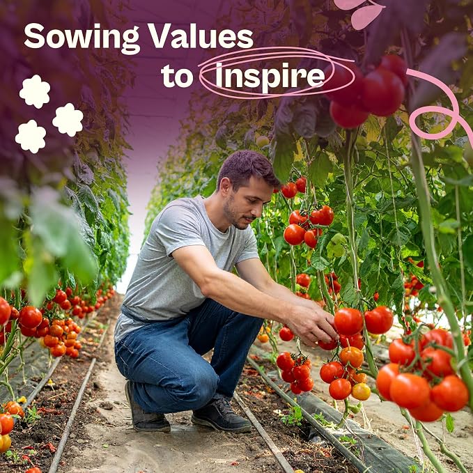 SVI 125 Cherokee Purple Tomato Seeds (Solanum Lycopersicum) - Purple Cherokee Tomato Seed Packets - Heirloom Tomatoes Vegetable Seeds for Outdoor Garden Beds, Greenhouses, Containers