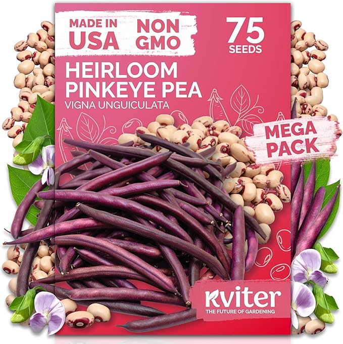 KVITER 75 Top Pick Pinkeye Cow Pea Seeds for Planting (Vigna Unguiculata) – Field Pea, Bush Purple Hull Peas, Heirloom Peas & Beans – Vegetable Seeds for Outdoor Garden, Beds, Containers
