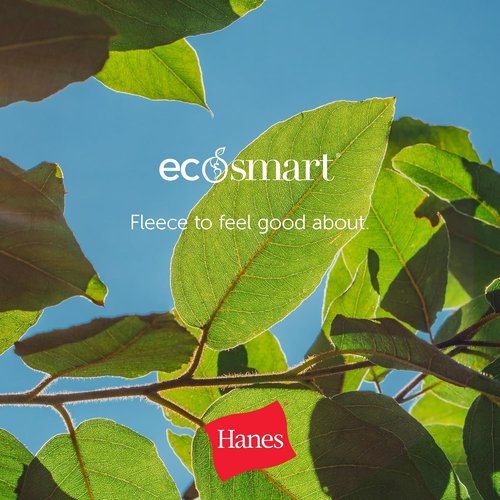Hanes Men's Ecosmart Sweatpants - Comfortable Athletic Lounge Pants with Cuffed Design