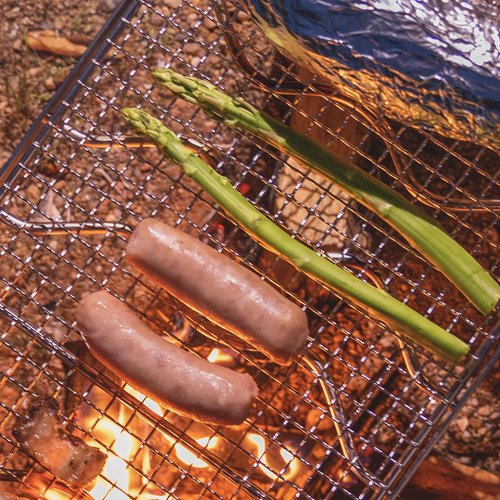 CAMPINGMOON Folding Campfire Grill with Cooking Grid Grate 9.5"x7.9" 304 Stainless Steel Camping Grill MS-1012-SW