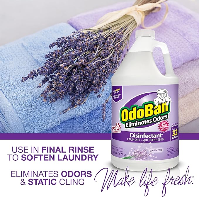 OdoBan Disinfectant Concentrate and Odor Eliminator, Made in the USA, Original Eucalyptus, Lavender and Cotton Breeze Scents, 3 Gallons