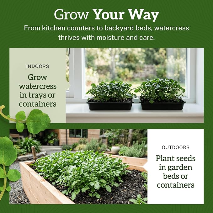 TKE Farms & Gardens - Watercress Seeds for Planting, 1500+ Non-GMO Heirloom Seeds, Grow a Nutrient-Rich Superfood, Easy for Indoor & Outdoor Gardens, Includes Planting Instructions, Qty 1