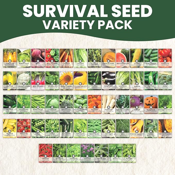 55 Vegetable Seed Packets | Survival Variety Pack | 2026 Season | Individually Packed Vegetables, Herbs and Fruits | Emergency Seed Vault for Doomsday Prepping | by Family Sown