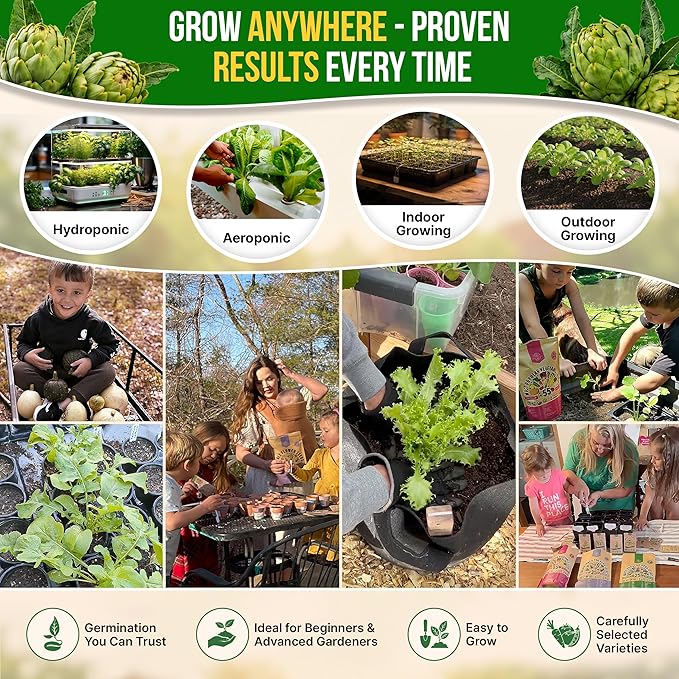Green Globe Artichoke Seeds Pack 2G - Over 35 of Non-GMO Heirloom Artichoke Seeds for Planting Vegetables in Individual Seed Packet, Vegetable Seeds for Planting Home Garden Indoor & Outdoor Gardening