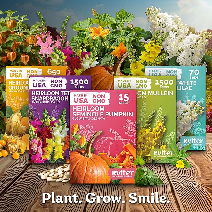 KVITER 50 Spacemaster 80 Cucumber Seeds (Cucumis sativus) - Compact Space Master Cucumber Seed Packets, Pickling & Slicing Cucumbers - Vegetable Seeds for Planting in Small Garden & Containers
