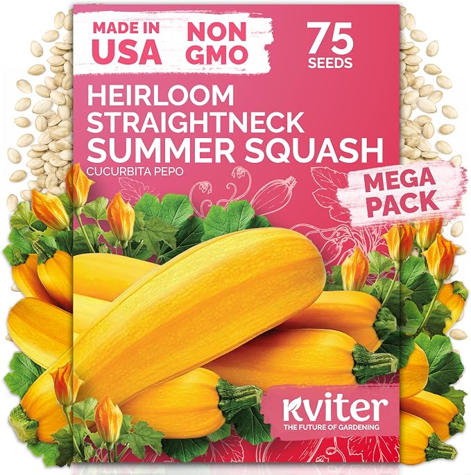 KVITER 75 Straight Neck Squash Seeds (Cucurbita Pepo) - Yellow Summer Squash, Non GMO Heirloom Seed Packets, High Yield, Mild Flavor - Vegetable Seeds for Containers and Outdoor Garden