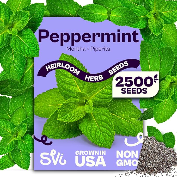 SVI 2500 Peppermint Seeds (Mentha piperita) - Aromatic Perennial Herb, Peppermint for Tea, Culinary Use - Non GMO & Herb Seeds for Outdoor & Indoor Garden, Containers