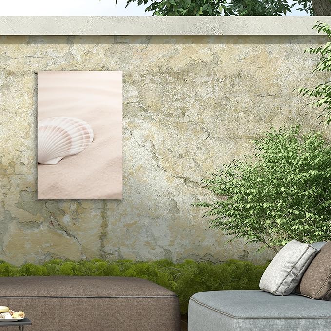 Trademark Fine Art Outdoor Canvas Art - Pictufy Studio 'Shell 3' Wall Art for Outdoor Spaces, Patios, or Gardens