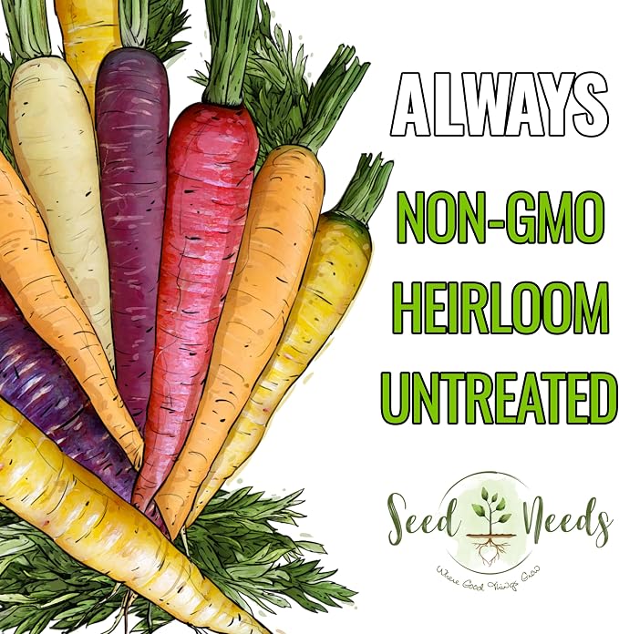 Seed Needs Rainbow Mixed Carrot Seeds to Plant Heirloom & Non-GMO 5 Packs