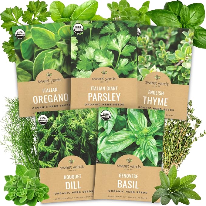 Organic Herb Seeds Variety Pack - 5 Individual Packs - 2026 Season - Basil, Oregano, Dill, Thyme & Parsley. for Indoor & Outdoor Planting (Non-GMO, Certified Organic)