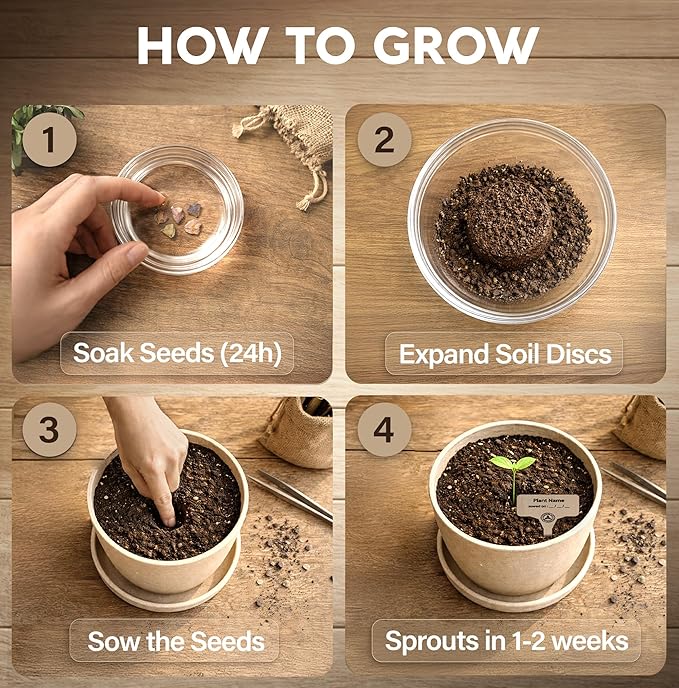 Avergo Bonsai Starter Kit – Growing Jacaranda Bonzai Tree | Complete Indoor Tree Kit for Growing Plants with Tools & Planter – Gardening Gifts for Mother, Women & Men