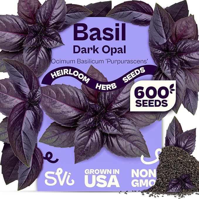 SVI 600 Dark Opal Basil Seeds (Ocimum basilicum) – Purple Sweet Basil Seed Packets –Non GMO Heirloom Herb Seeds, Aromatic Natural Herbs for Containers, Outdoor & Indoor Herb Garden
