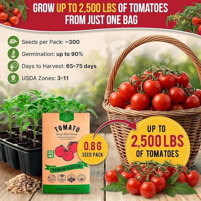 Tomato Large Cherry Seeds Pack 0.8 G - Over 300 of Non-GMO Heirloom Tomato Seeds for Planting Vegetables in Individual Seed Packet, Vegetable Seeds for Planting Home Garden Indoor & Outdoor Gardening