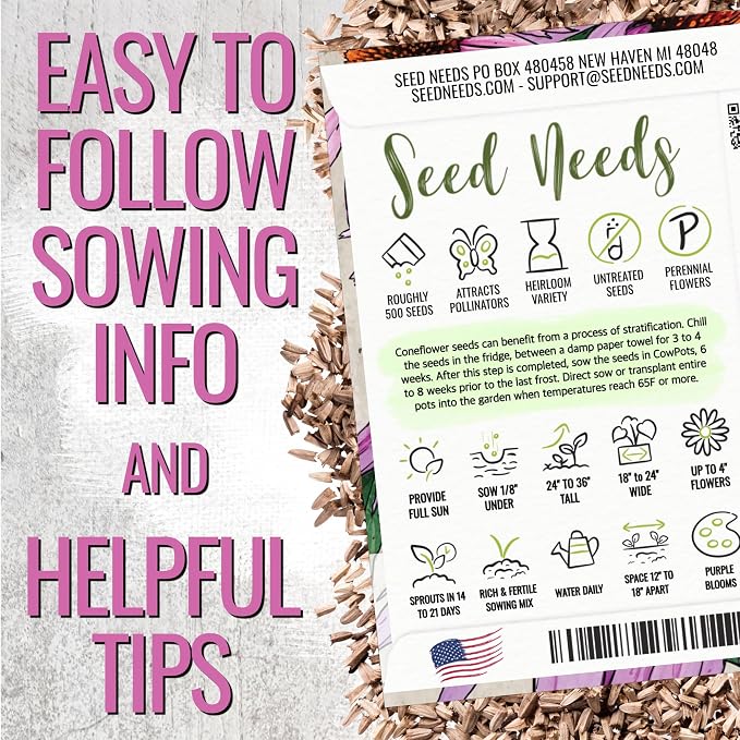 Seed Needs Purple Coneflower Seeds to Plant Echinacea Flowers 2 Packs