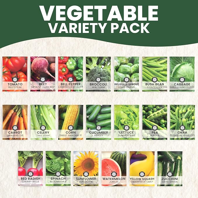 20 Vegetable Seed Packets | Survival Variety Pack | 2026 Season | Individually Packed Vegetables, Herbs and Fruits | Emergency Seed Vault for Doomsday Prepping | by Family Sown